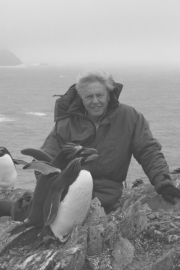 Attenborough, David