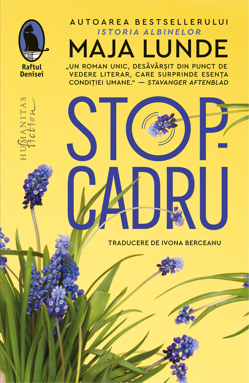 Stop-cadru